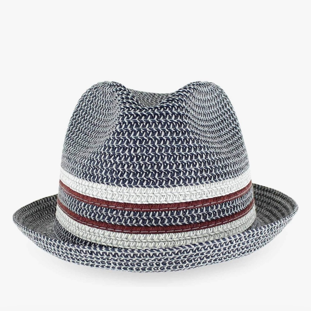 Stylish Fedora Hat with DISCOUNT SHIPPING